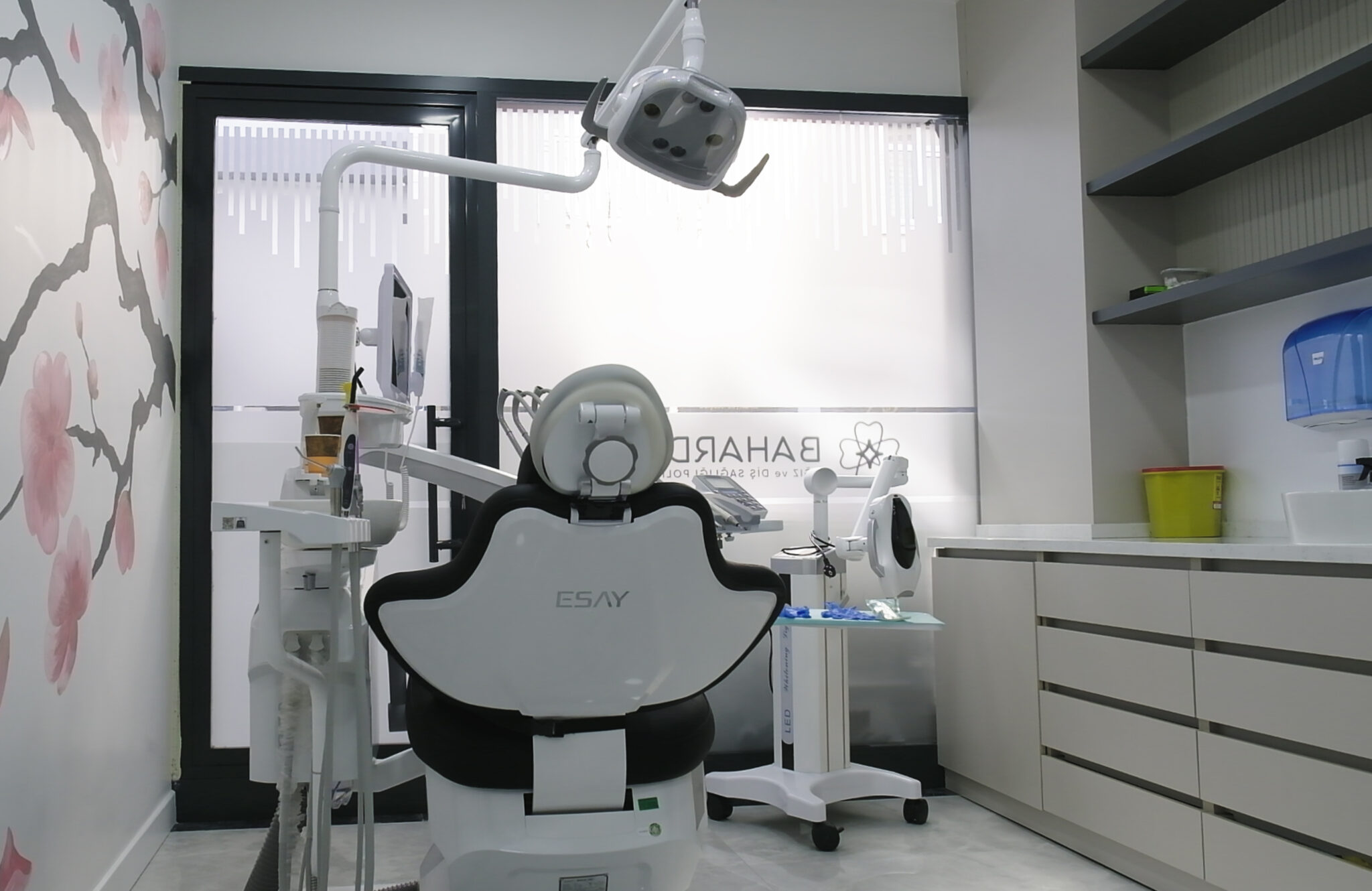 Diş İmplantı: Eksik Dişlerin Yerine Gelecek Nesil Çözümler